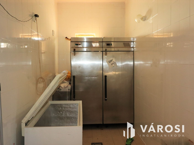 Szabadkígyósi kastély mellett kíváló befektetési lehetőség