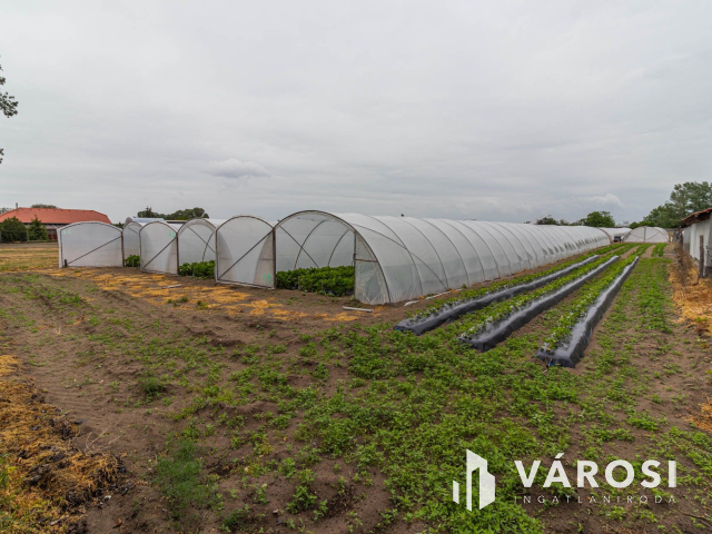 Eper termesztésre kiválóan alkalmas földterület