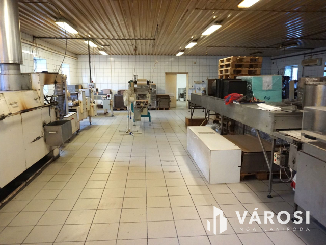 Élelmiszer feldolgozó ár alatt kiadó!