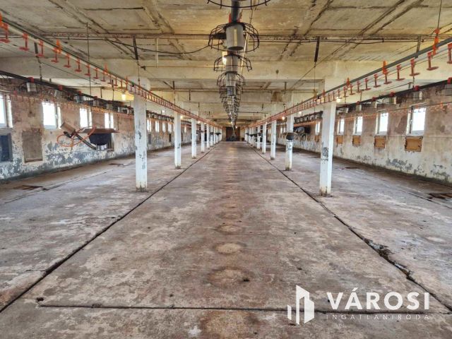 Működő állattartó farm berendezésekkel együtt eladó!