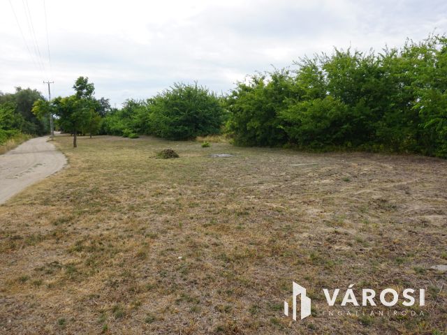 Duplatelek Turán ár alatt ELADÓ!