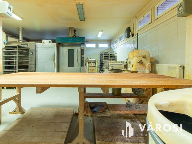 Családi ház és üzleti ingatlan egyben eladó Pátyon !