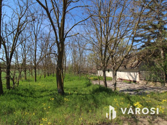 Komfortos tanya a Csongrád-bokrosi szőlővidéken