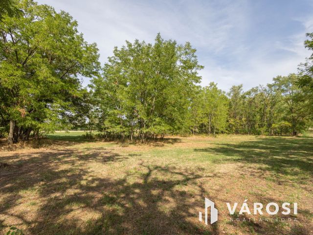 Teljesen felújított tanya nagy területtel és vízparttal