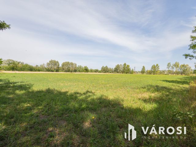 Teljesen felújított tanya nagy területtel és vízparttal