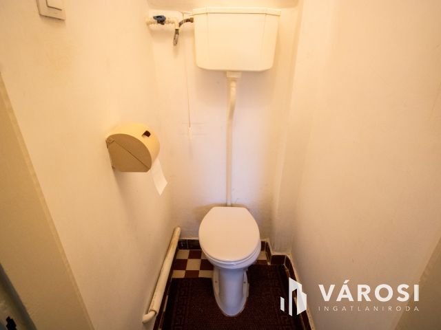 Otthon és vállalkozás a fürdő mellett-Füzesgyarmat