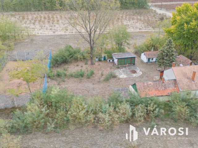 Vadkerti tó mellett teljes a nyugalom