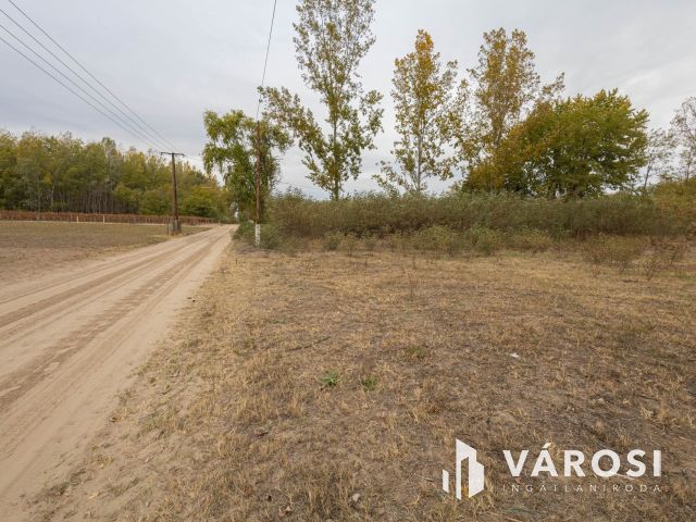 Vadkerti tó mellett teljes a nyugalom