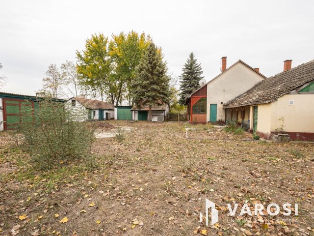 Vadkerti tó mellett teljes a nyugalom