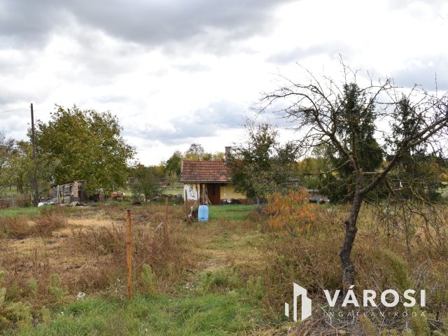 4661 m2 építési telek eladó Gyulán!