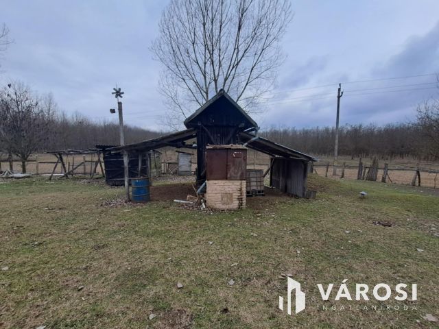 Eladó tanyaként hasznosítható ház és mezőgazdasági terület