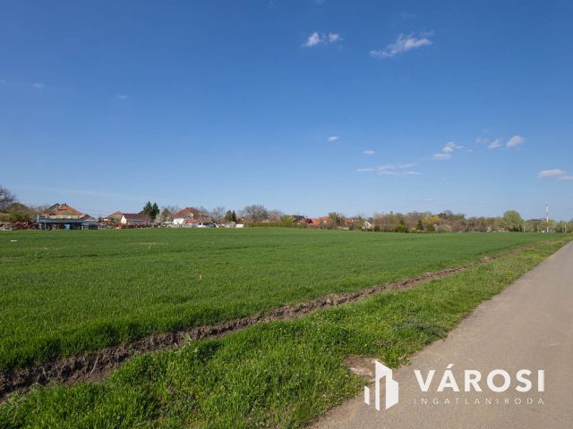 Van még eladó telek a Szőlőskert Lakóparkban! - 2