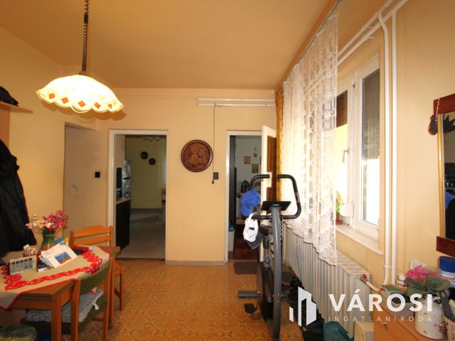 Családi ház zöldövezetben a Kurca partján