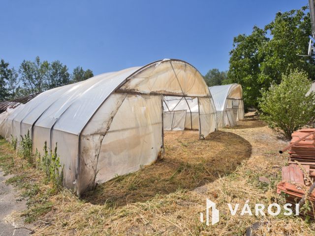 Gazdálkodj okosan!
